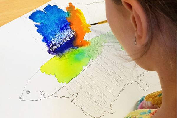 Summer Drawing & Painting Camps 6 to 10 years old