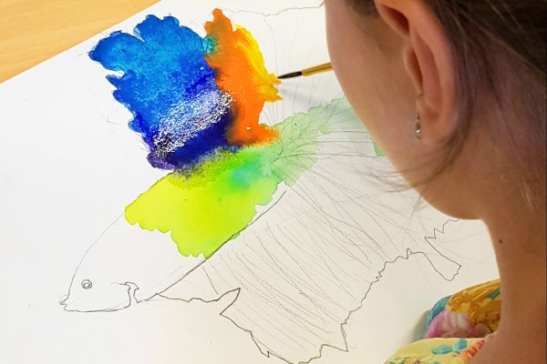 Summer Drawing & Painting Camps 6 to 10 years old
