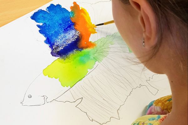 Summer Drawing & Painting Camps 6 to 10 years old